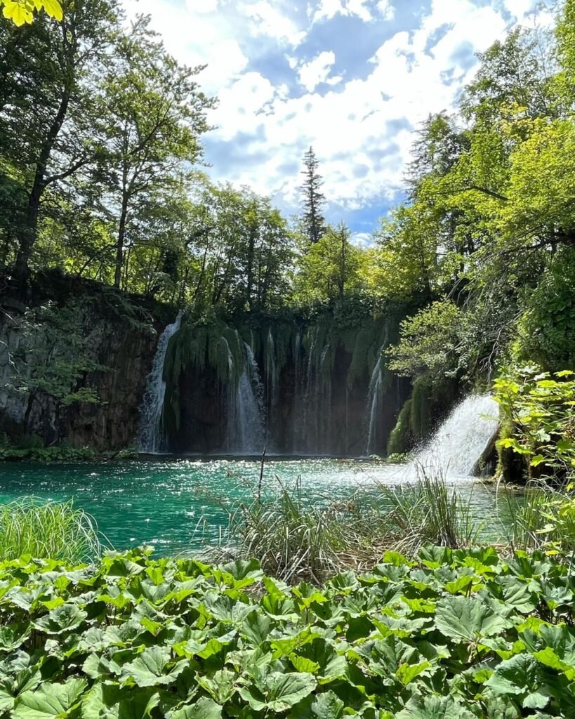 zelenilo Croatia by descent